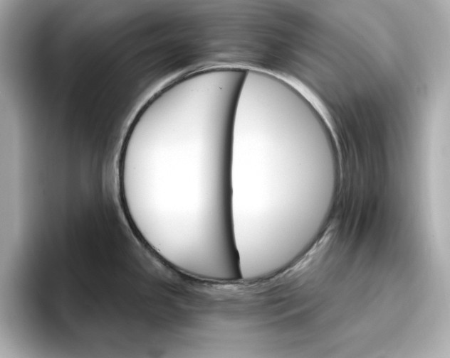 X0000096971341200802221354