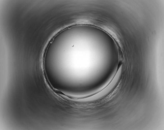 X0000096971342200802221354