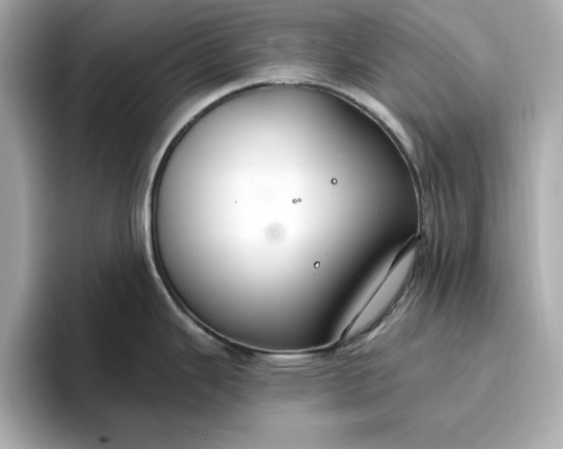 X0000096971343200802221354