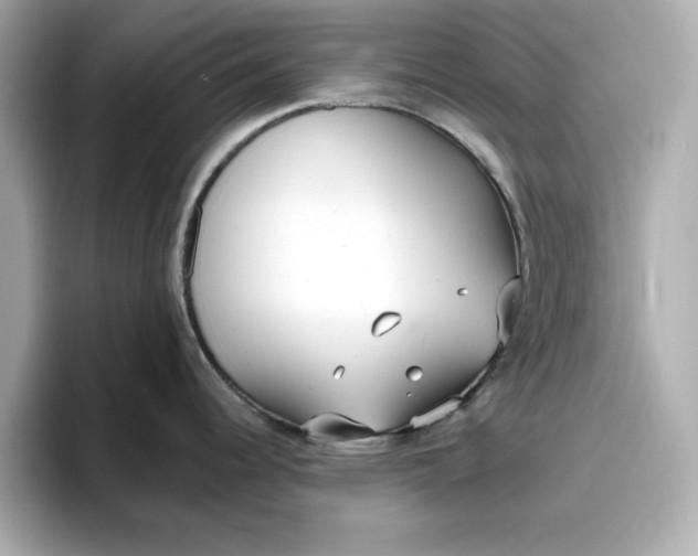 X0000096971344200802221354