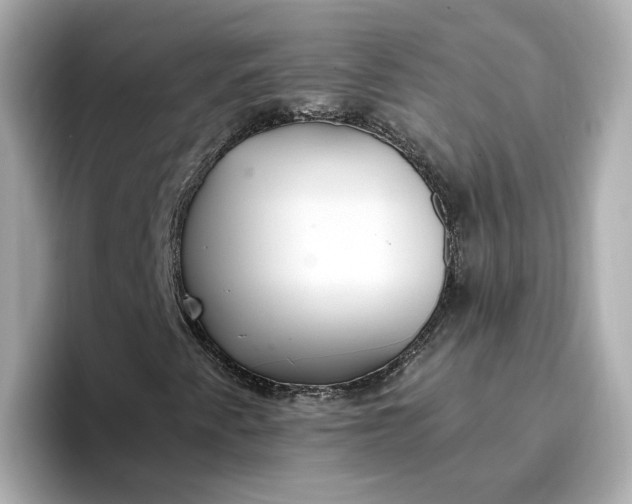 X0000096971345200802221354