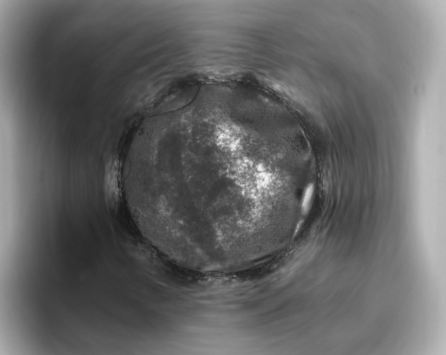 X0000096971346200802221354