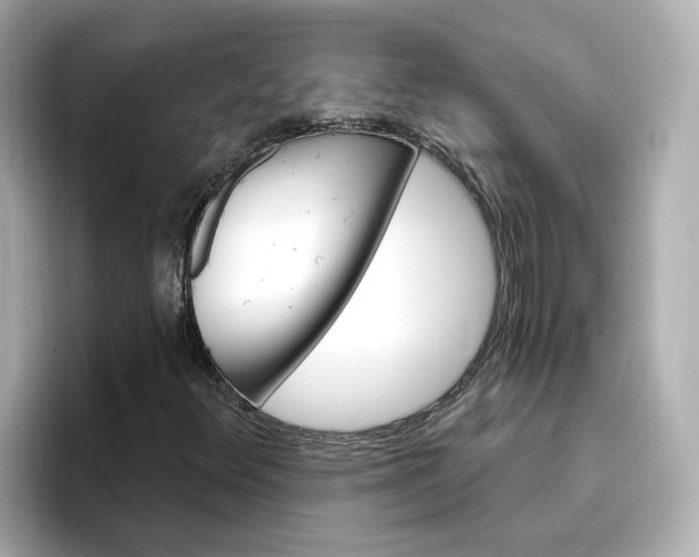 X0000096971348200802221354