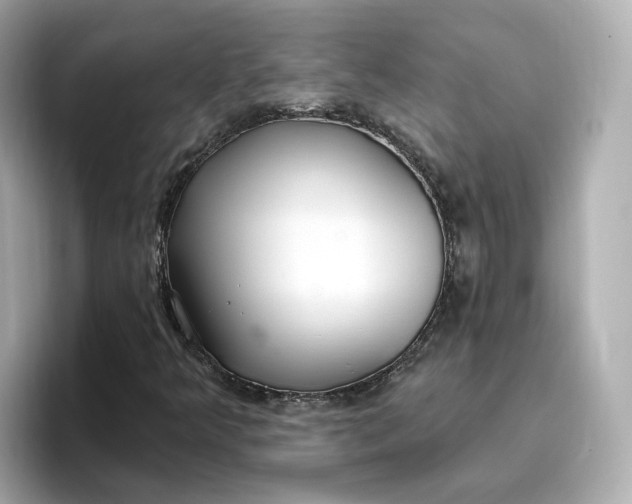 X0000096971349200802221354