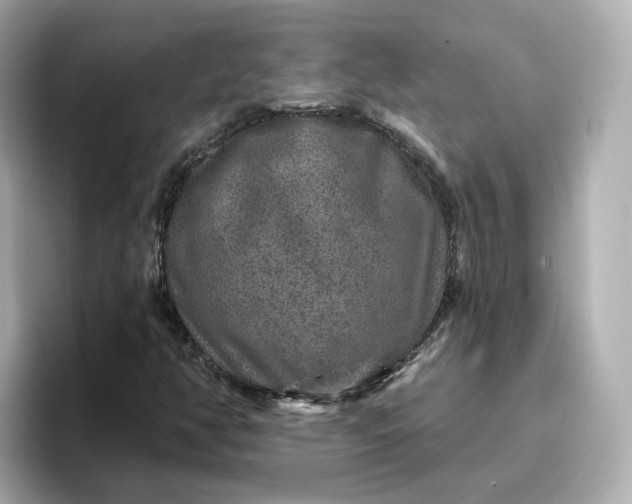 X0000096971350200802221354