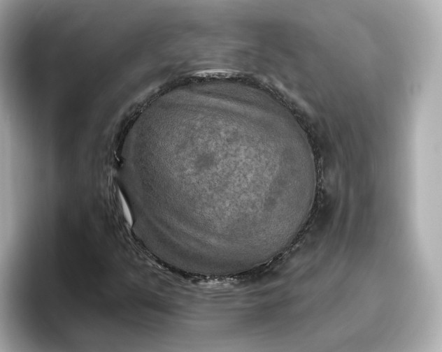 X0000096971351200802221354