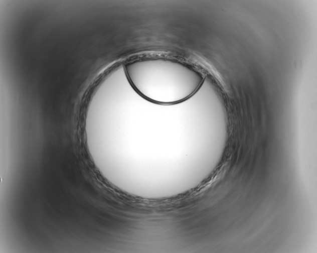 X0000096971352200802221354