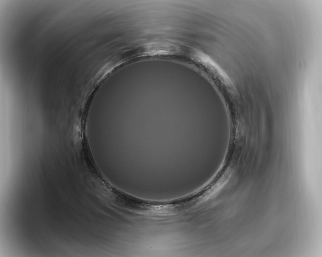 X0000096971353200802221354