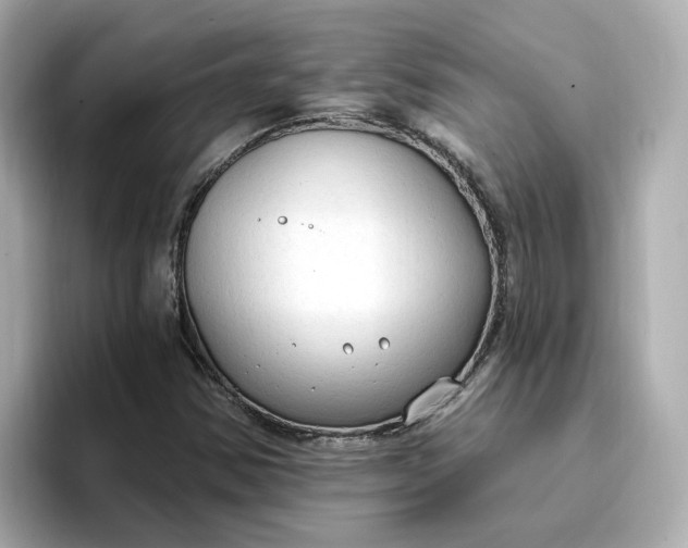 X0000096971354200802221354