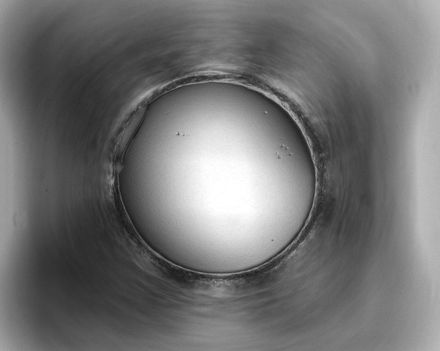 X0000096971355200802221354