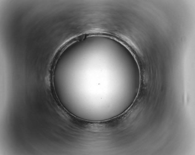 X0000096971356200802221354