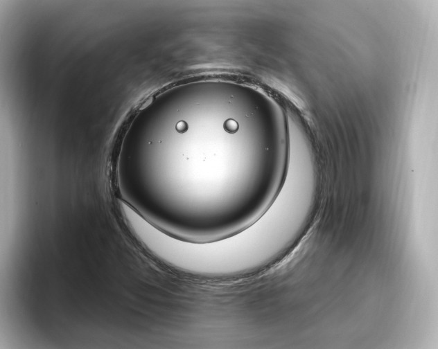 X0000096971357200802221354