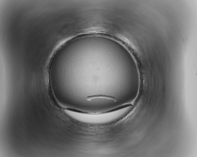 X0000096971358200802221354