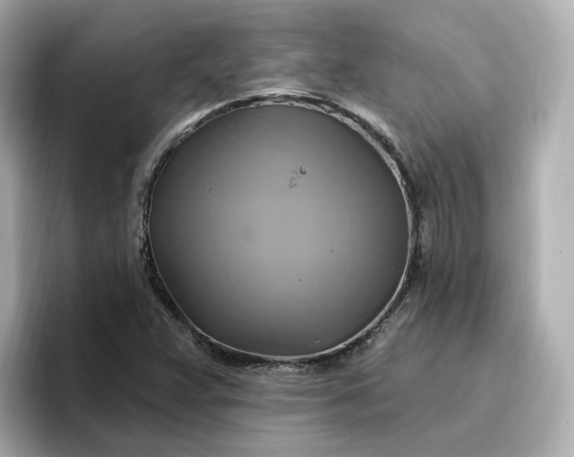 X0000096971359200802221354