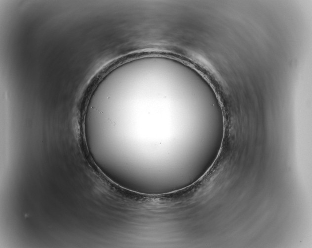 X0000096971360200802221354