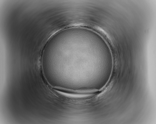 X0000096971361200802221354