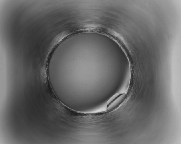 X0000096971362200802221354