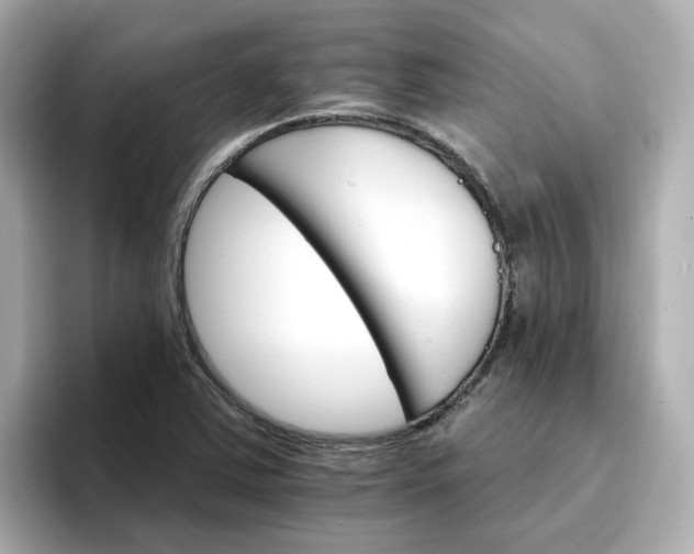 X0000096971363200802221354