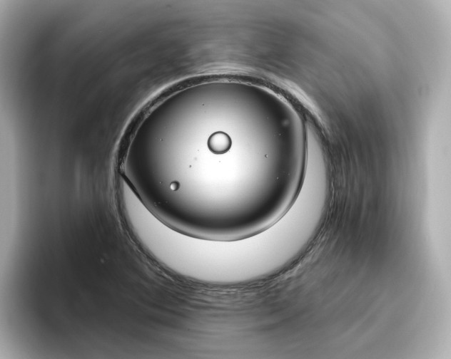 X0000096971364200802221354