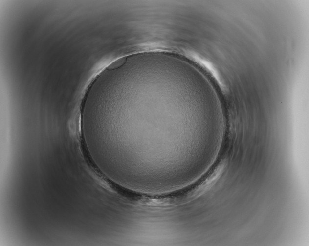 X0000096971365200802221354