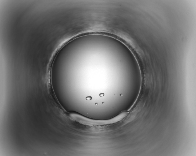 X0000096971366200802221354