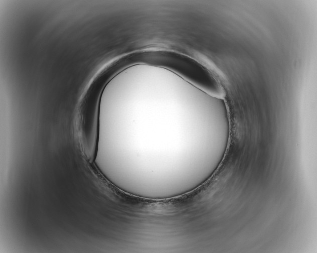 X0000096971368200802221354