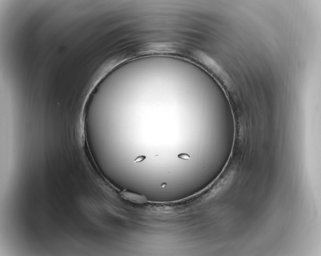 X0000096971370200802221354