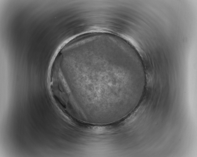 X0000096971371200802221354