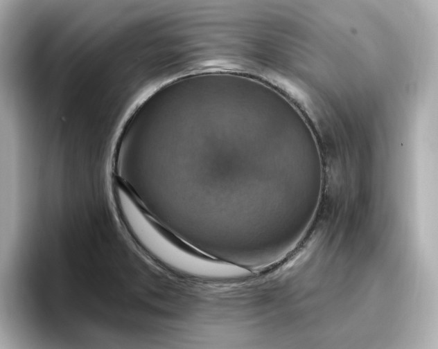 X0000096971373200802221354