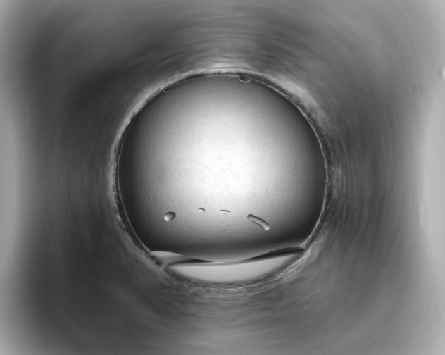 X0000096971374200802221354