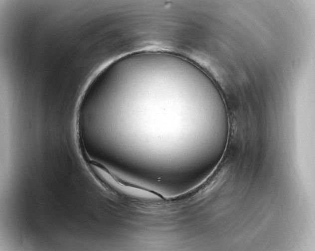 X0000096971375200802221353