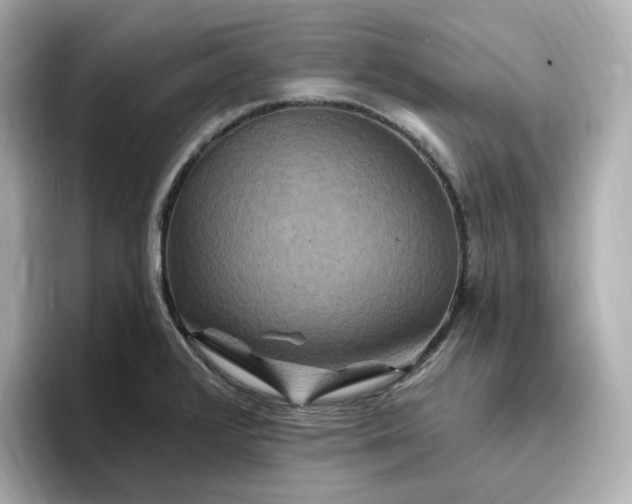 X0000096971376200802221353