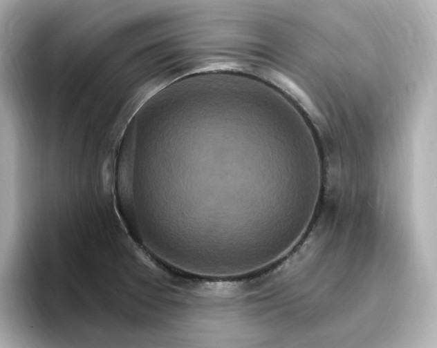 X0000096971377200802221353