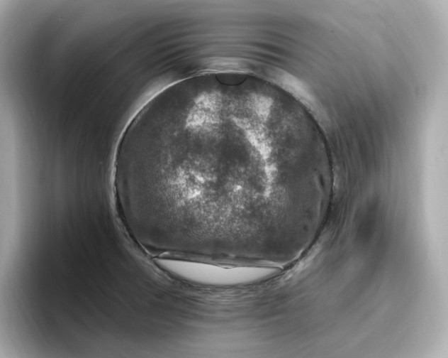 X0000096971378200802221353