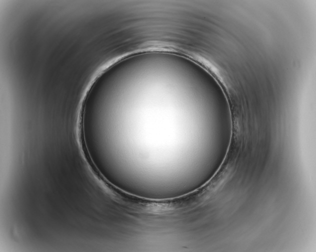 X0000096971379200802221353