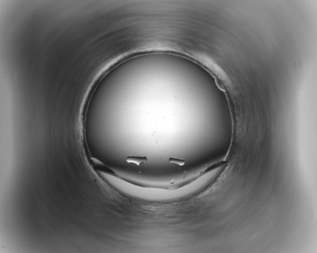 X0000096971380200802221353