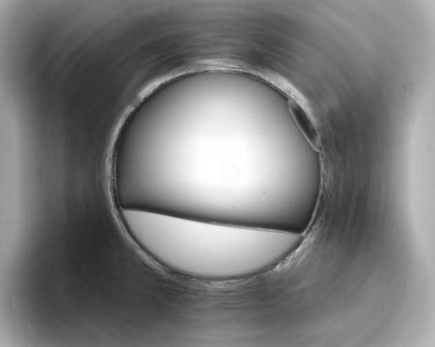 X0000096971381200802221353