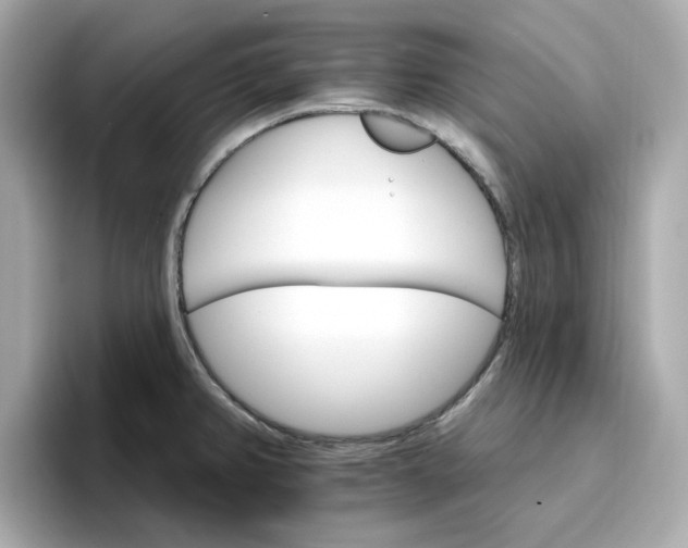 X0000096971382200802221353