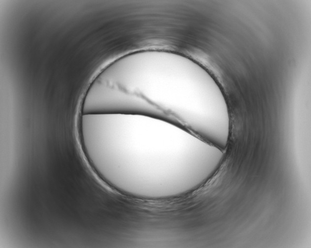 X0000096971383200802221353