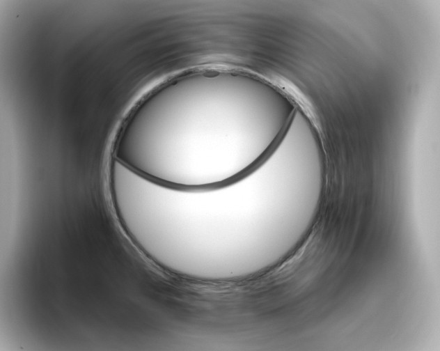 X0000096971384200802221353