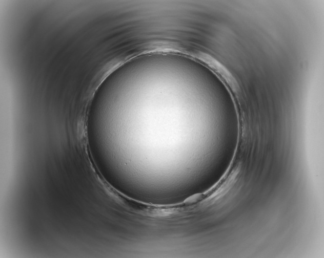 X0000096971385200802221353