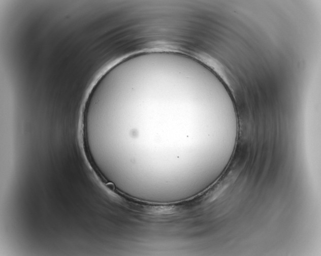 X0000096971387200802221353