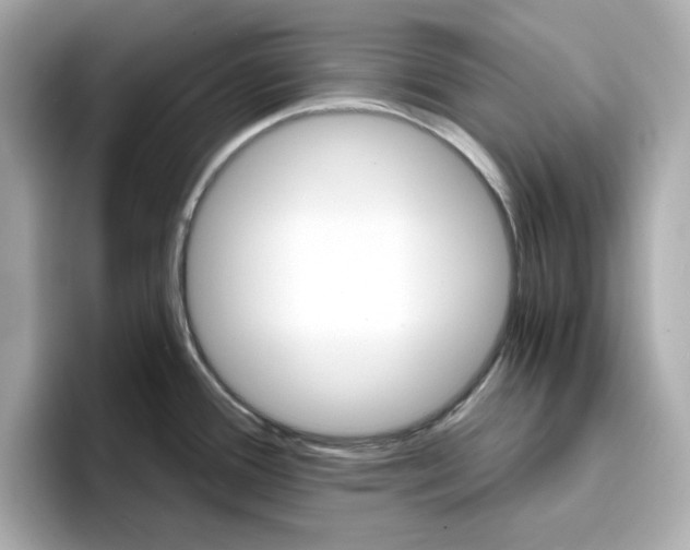 X0000096971388200802221353