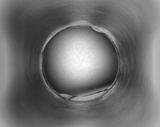 X0000096971390200802221353