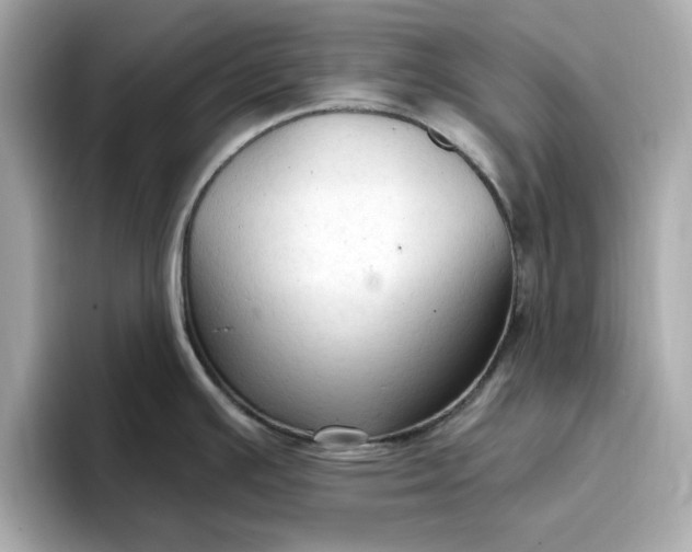 X0000096971391200802221353