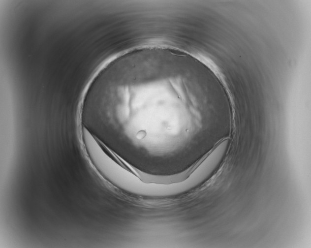 X0000096971392200802221353