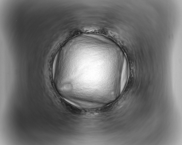 X0000096971393200802221353