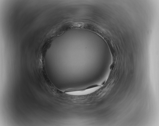 X0000096971394200802221353