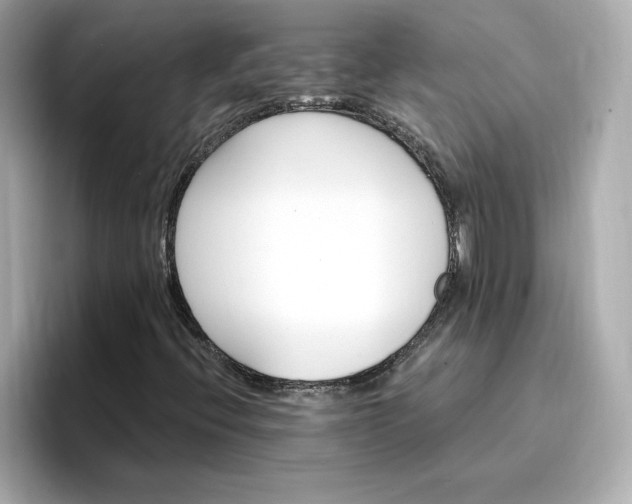 X0000096971396200802221353