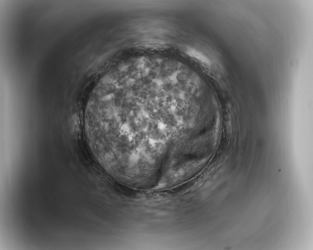 X0000096971397200802221353